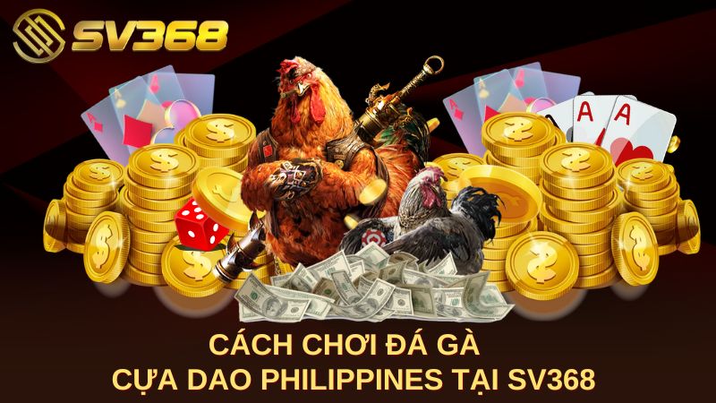 Cách chơi đá gà cựa dao Philippines tại SV368