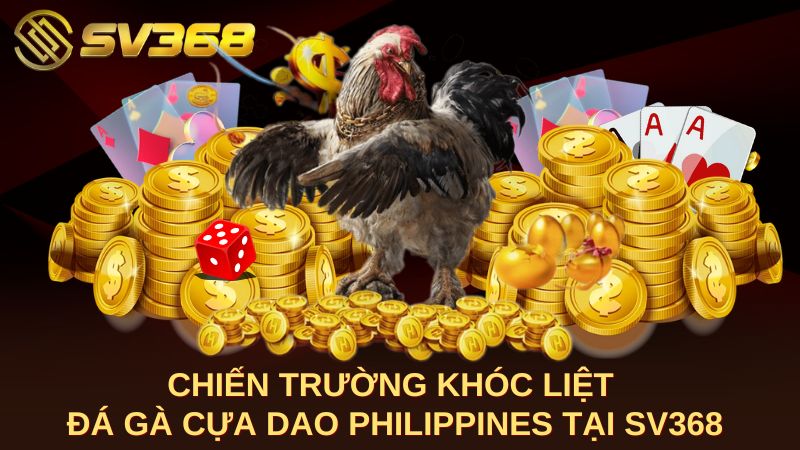 Chiến Trường Khóc Liệt Đá Gà Cựa Dao Philippines Tại SV368