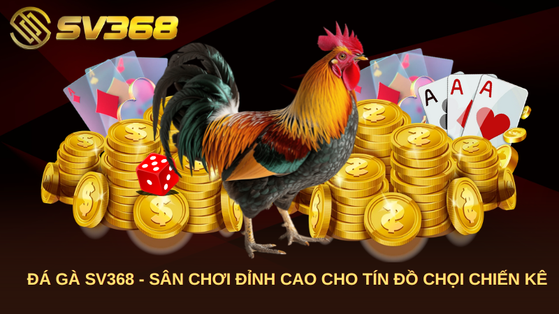 Đá Gà SV368 - Sân Chơi Đỉnh Cao Cho Tín Đồ Chọi Chiến Kê