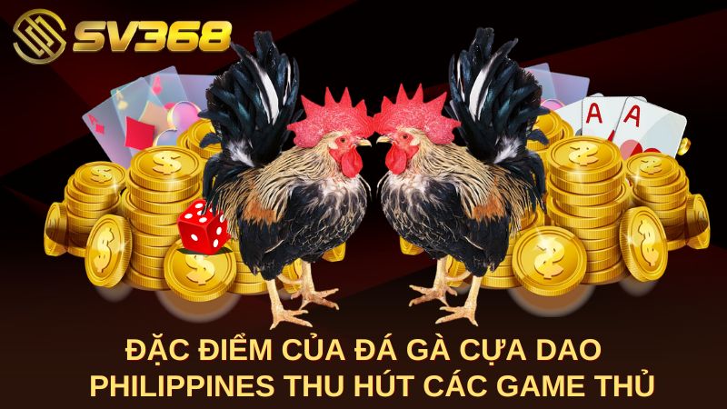 Đặc điểm của đá gà cựa dao Philippines thu hút các game thủ