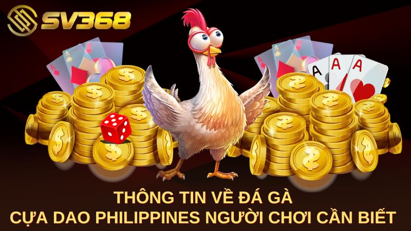 Thông tin về đá gà cựa dao Philippines người chơi cần biết